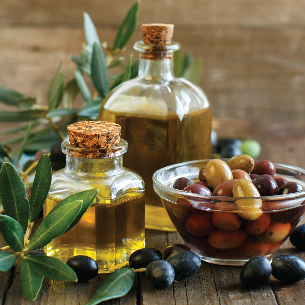 Olive-Oil,-Coconut-Oil-and-Canola-Oil